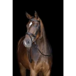 Uzda za jahanje HKM Jana