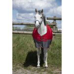 Deka E-T Tyrex Turout Rug 1200D