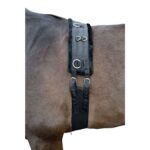 Kolan za lonžiranje HKM Teddy