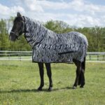Deka protiv muha RW Zebra
