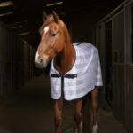 Deka protiv muha RW Mesh